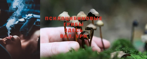 синтетический гашиш Балахна