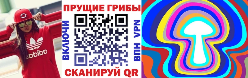 дарк нет как зайти  Буинск  Псилоцибиновые грибы Psilocybine cubensis 