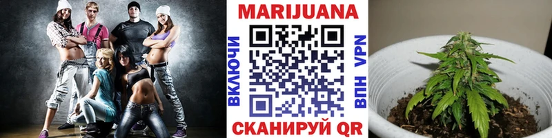 Конопля OG Kush  Буинск 